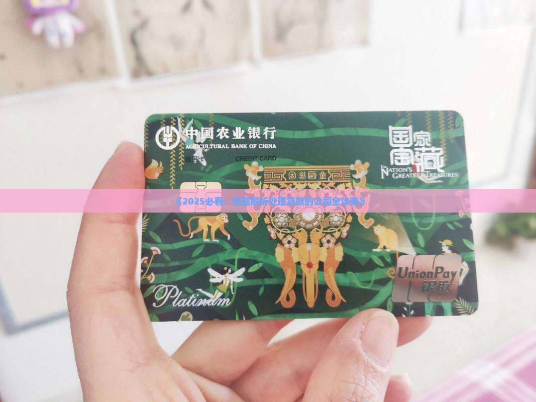 处理贷款的公司