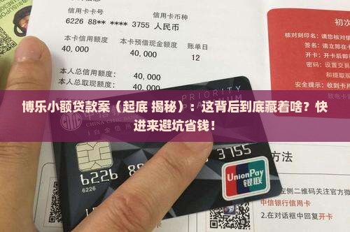 博乐小额贷款案