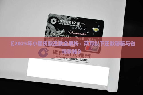 小额贷款两万左右怎么还