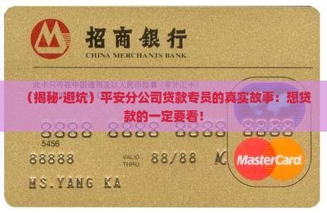 平安分公司做贷款专员