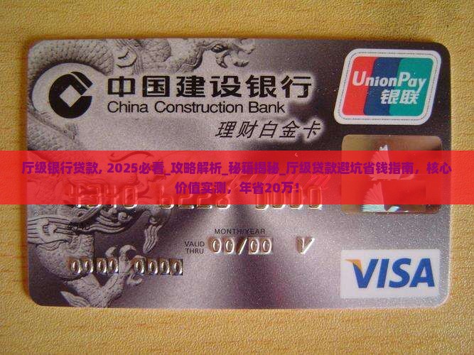 厅级银行贷款