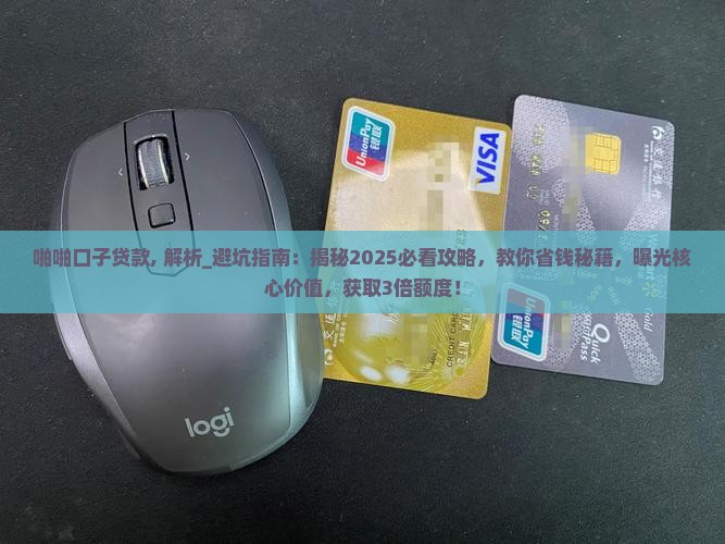 啪啪口子贷款