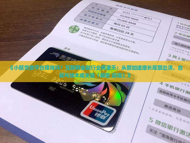 小额贷款平台赚钱吗