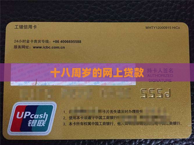 十八周岁的网上贷款