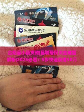 合阳县小额贷款