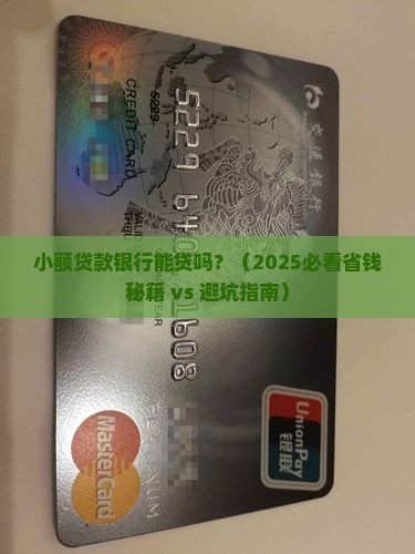 小额贷款银行可以贷款吗
