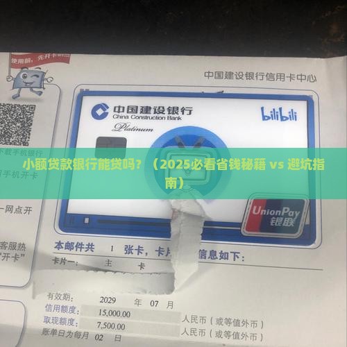 小额贷款银行可以贷款吗