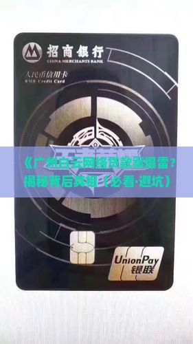 广州白云网络贷款案
