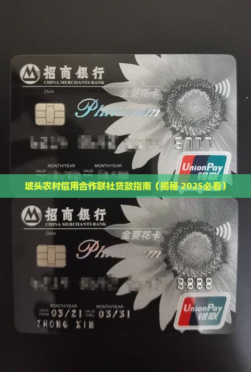 坡头信用贷款
