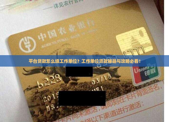 平台贷款必须填工作单位