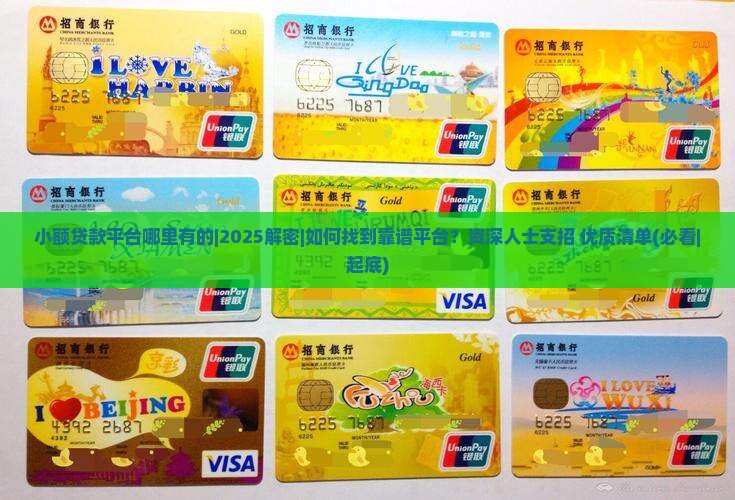 小额贷款平台哪里有的