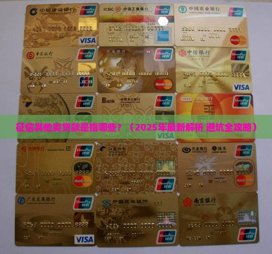 征信其他类贷款是指哪些