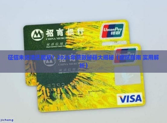 征信未结清贷款