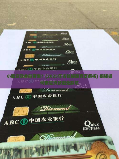 小额贷款金融普惠