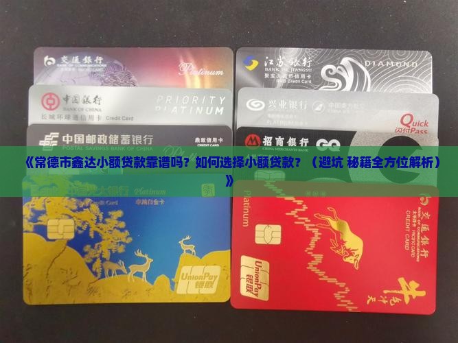 常德市鑫达小额贷款