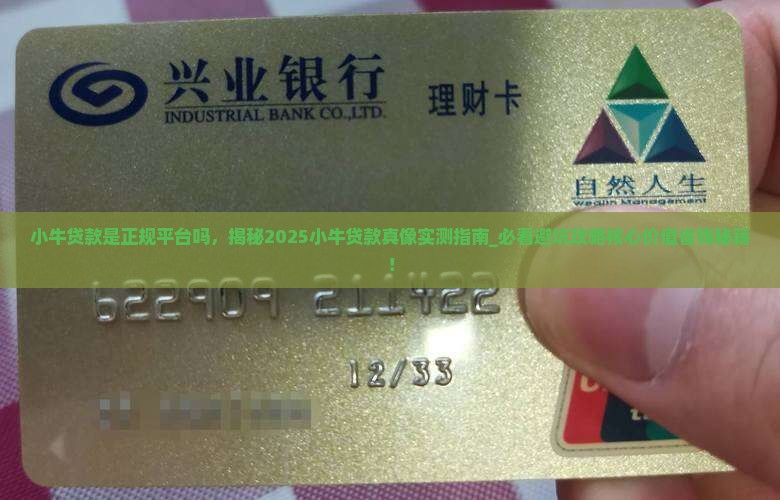 小牛贷款是正规平台吗