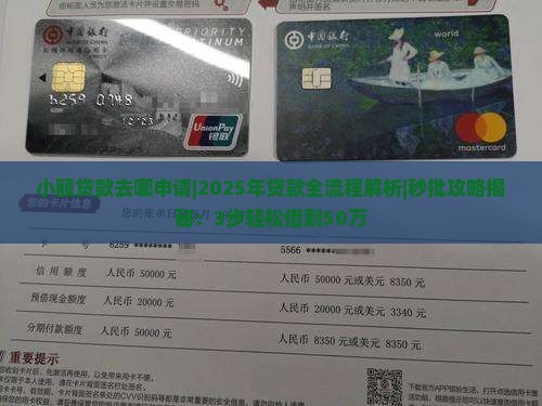 小额贷款去哪申请流程