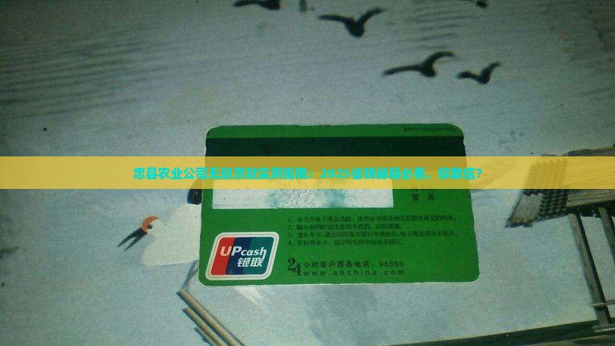忠县农业公司无息贷款