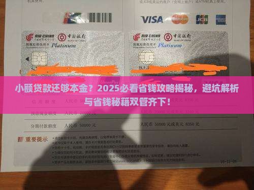 小额贷款还够本金