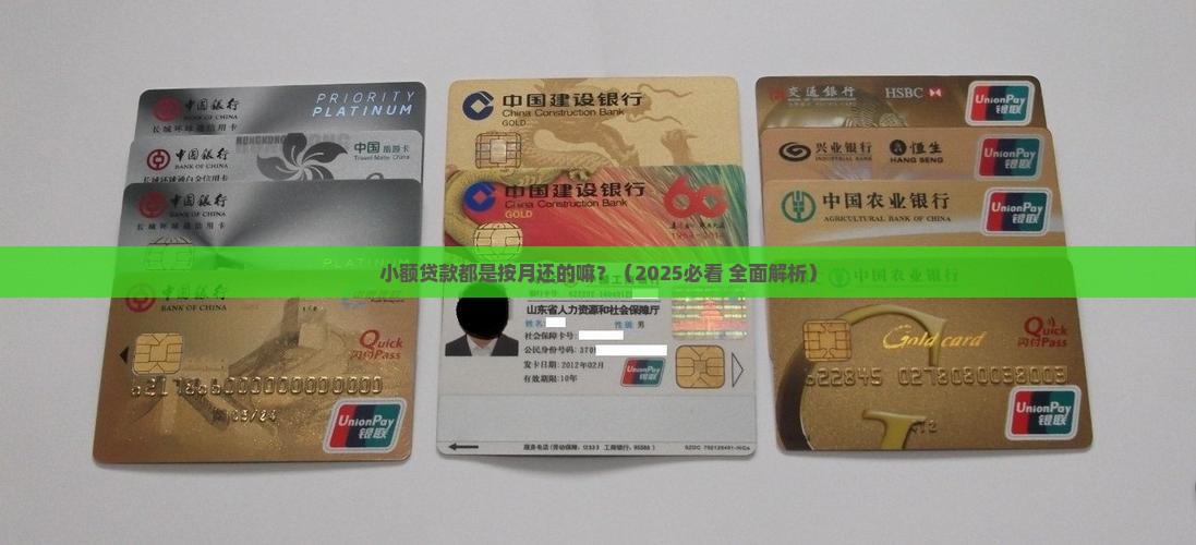 小额贷款都是按月还的嘛