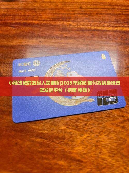 小额贷款的发起人是谁啊