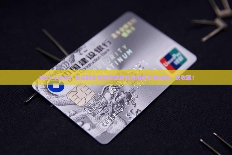 哪些地方可以拿备用金贷款