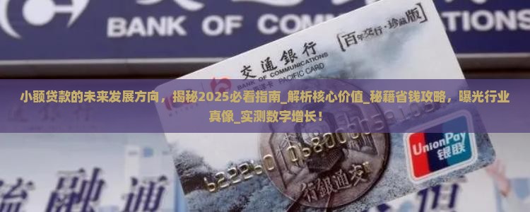 小额贷款的未来发展方向