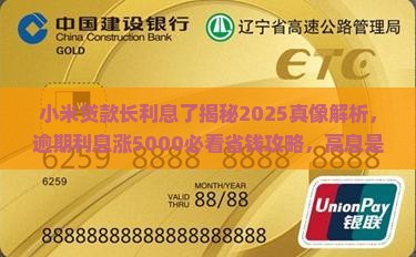 小米贷款长利息了