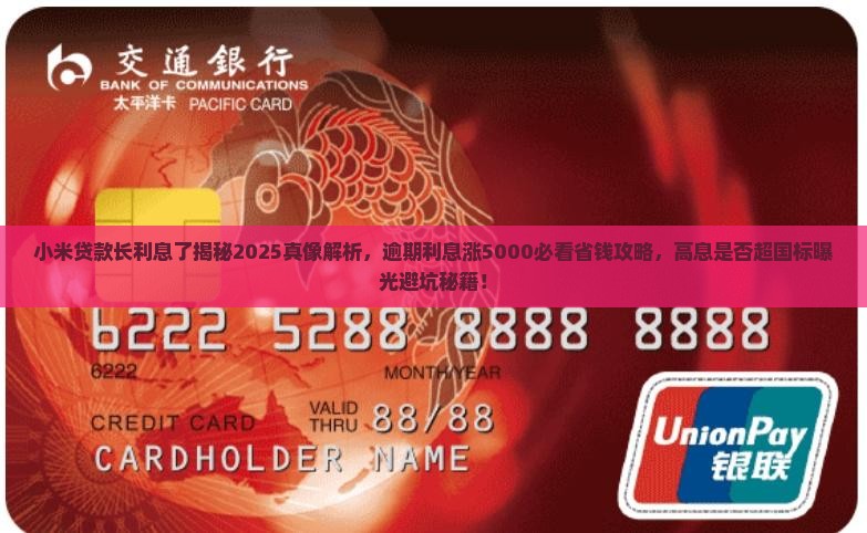 小米贷款长利息了