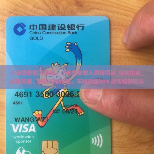 小米贷款收入高吗
