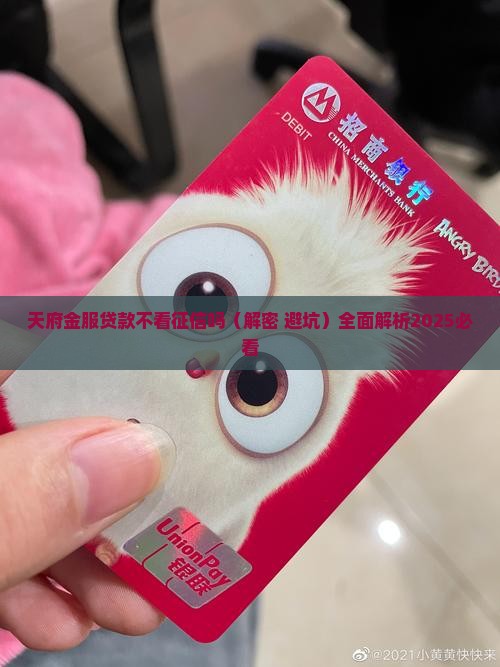 天府金服贷款不看征信吗