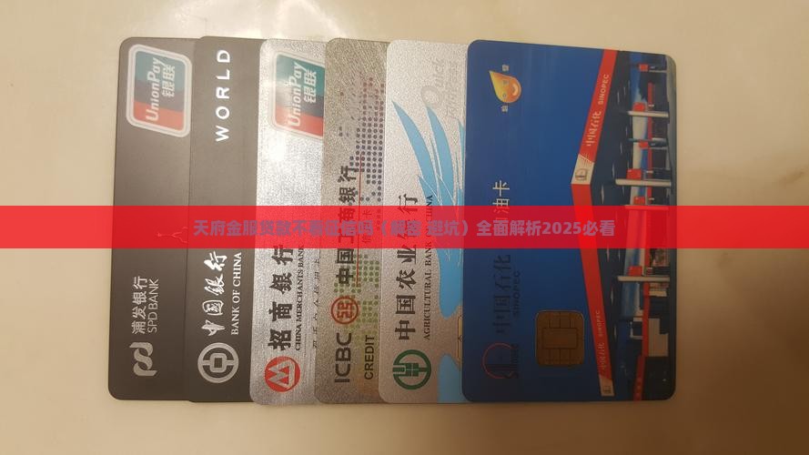 天府金服贷款不看征信吗