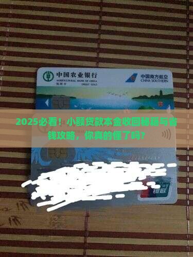 小额贷款本金收回方式