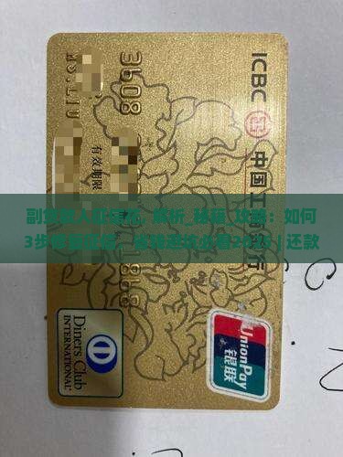 副贷款人征信花