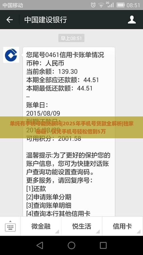 单纯有手机号能贷款吗