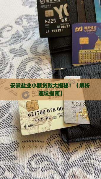 安徽盐业小额贷款