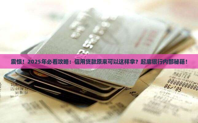 商业银行可以信用贷款