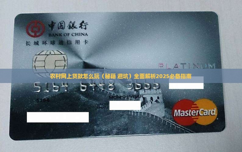 农村网上贷款怎么玩