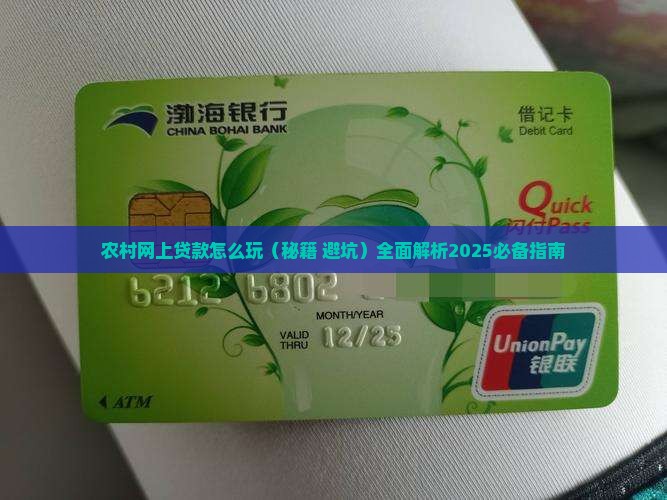 农村网上贷款怎么玩