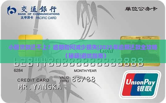 小额贷款还不上