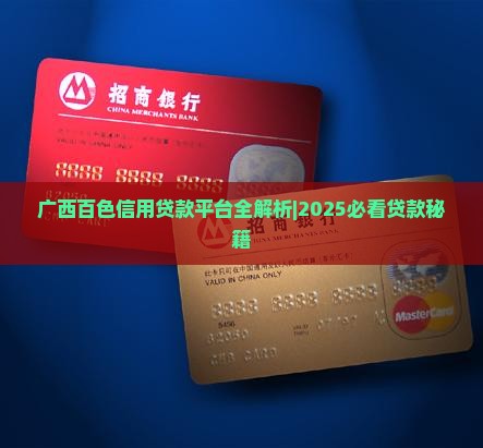 广西百色信用贷款平台