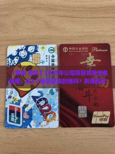 公司项目贷款资金使用