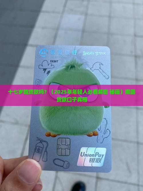 十七岁贷款口子