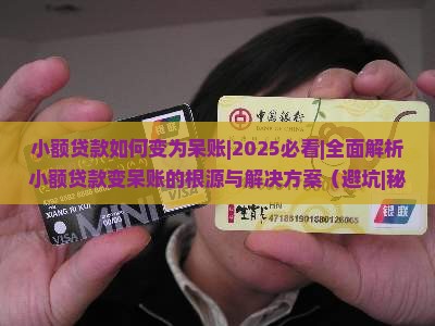 小额贷款如何变为呆账
