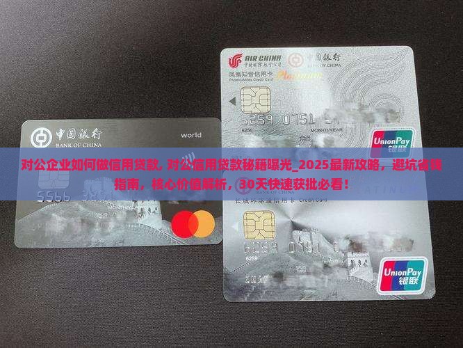 对公企业如何做信用贷款