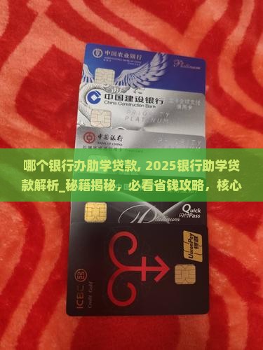 哪个银行办肋学贷款