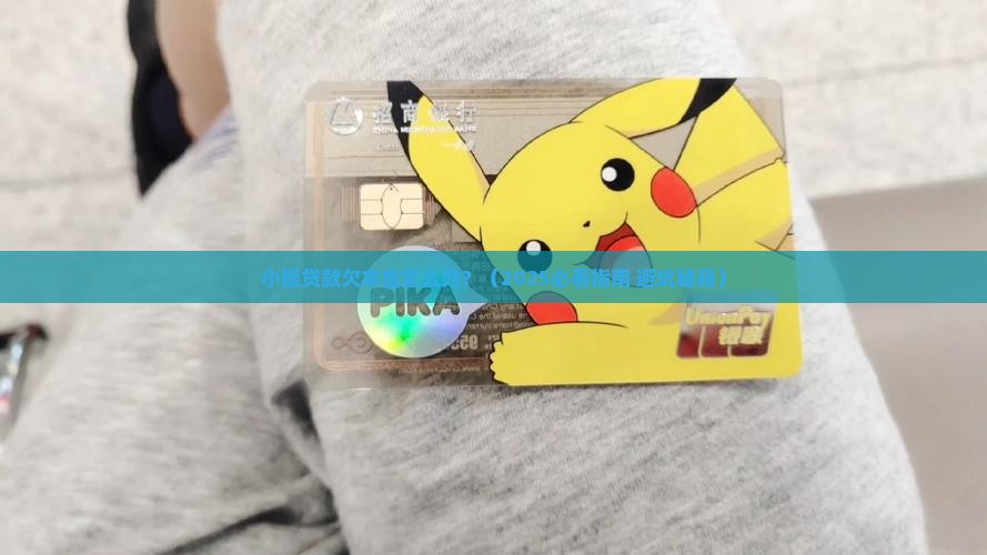 小额贷款欠本金怎么办