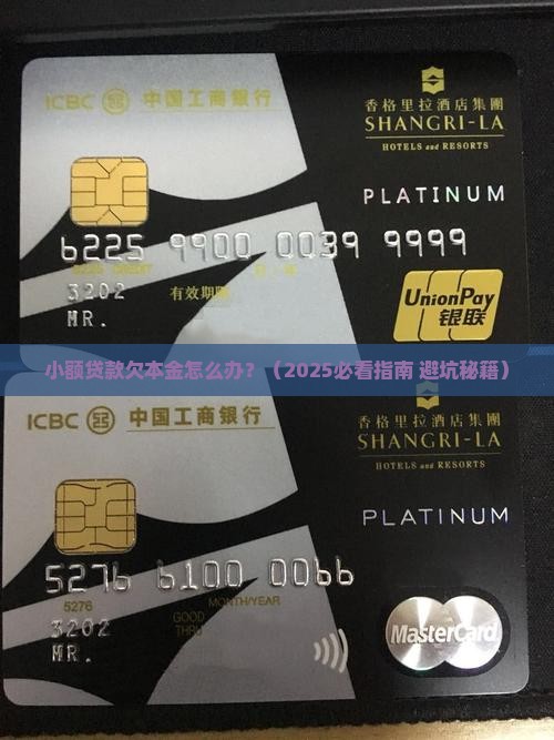 小额贷款欠本金怎么办