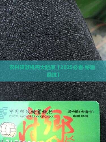 农村有几个公司可以贷款