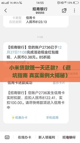 小米贷款晚一天还可以吗